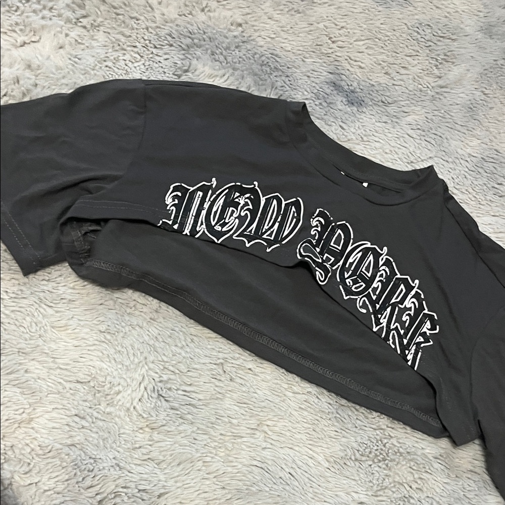 Gray Graphic Crop Top